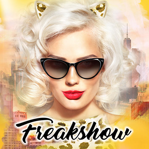 Lire la suite à propos de l’article Freakshow Collections Lunettes Solaires